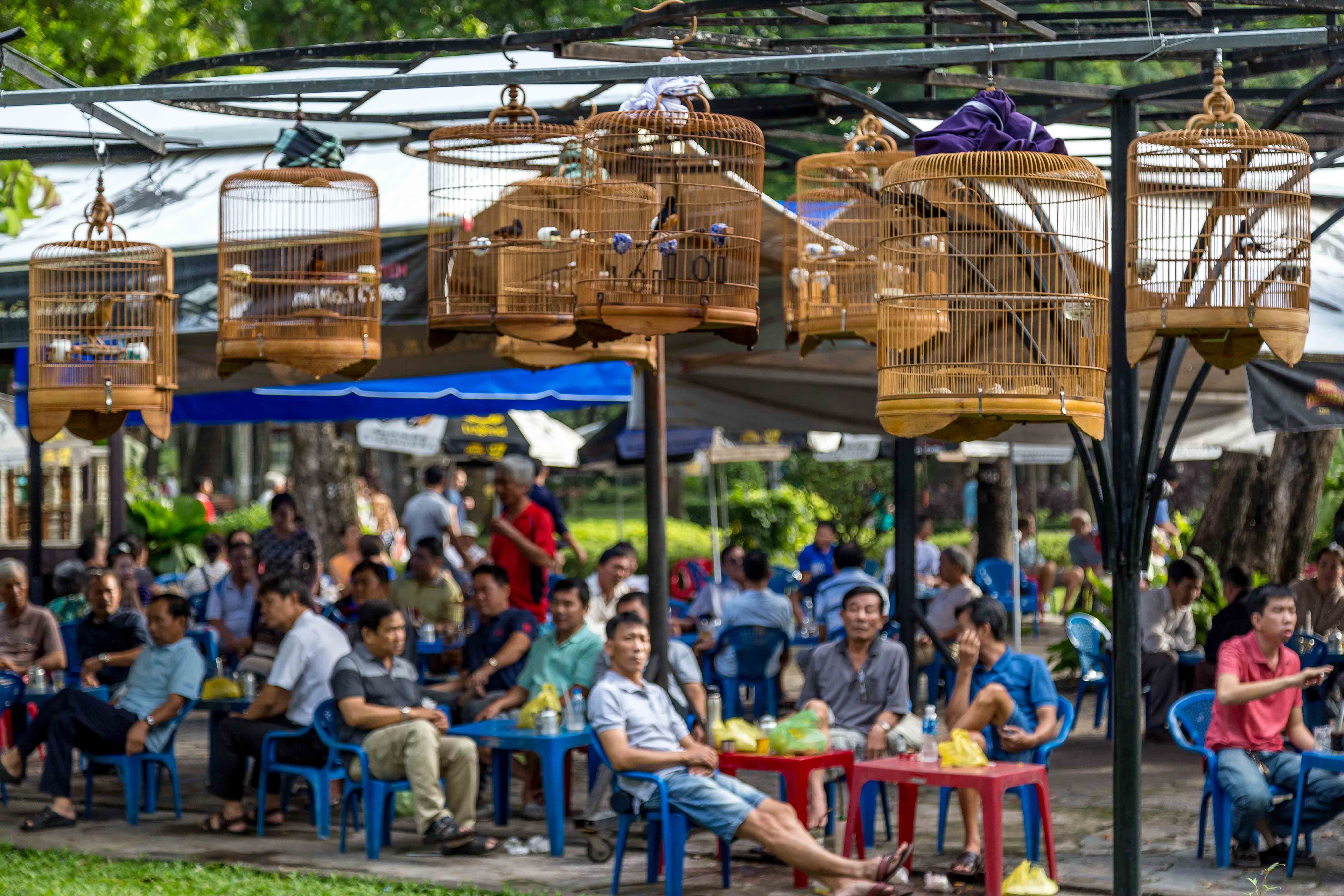 saigon bird park
