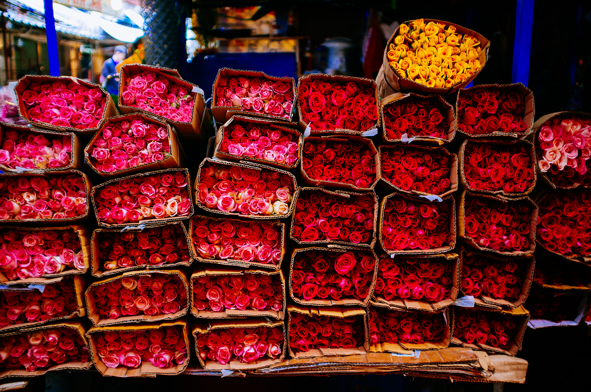 Saigon's Markets